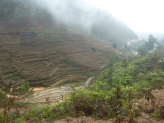 Sapa ricefields in norhern Vietnam