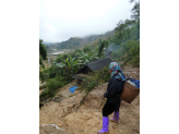 Sapa ricefields in norhern Vietnam