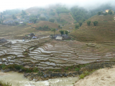 Sapa ricefields in norhern Vietnam