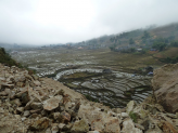 Sapa ricefields in norhern Vietnam