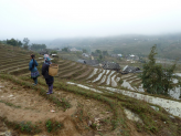 Sapa ricefields in norhern Vietnam