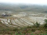 Sapa ricefields in norhern Vietnam