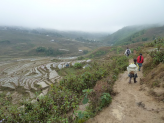 Sapa ricefields in norhern Vietnam