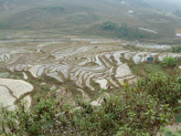 Sapa ricefields in norhern Vietnam