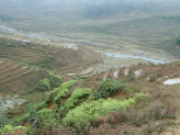 Sapa ricefields in norhern Vietnam