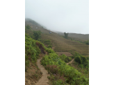 Sapa ricefields in norhern Vietnam