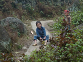 Sapa ricefields in norhern Vietnam