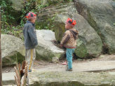 Sapa ricefields in norhern Vietnam