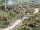 Sapa ricefields in norhern Vietnam