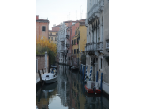 Venezia