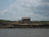 Mekong delta  (Vietnam)