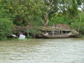 Mekong delta  (Vietnam)