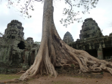 Angkor, Siem Reap