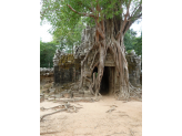 Angkor, Siem Reap