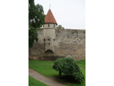 Tallinn