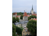 Tallinn