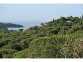 Cote d'Azure