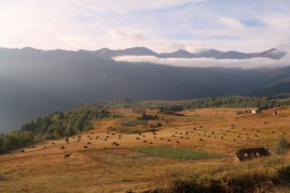 Caucasus