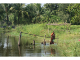 Bangladesh